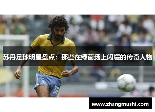 苏丹足球明星盘点：那些在绿茵场上闪耀的传奇人物