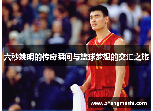 六秒姚明的传奇瞬间与篮球梦想的交汇之旅